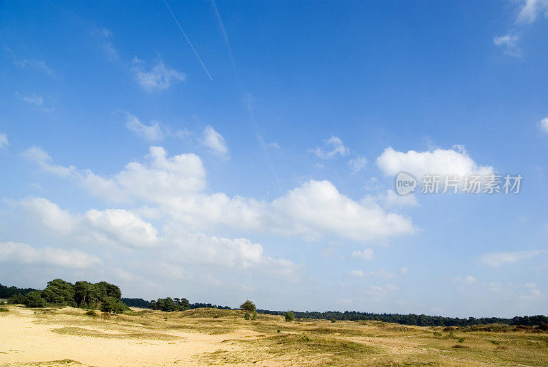 荷兰景观:沙丘(Wekeromse Zand)